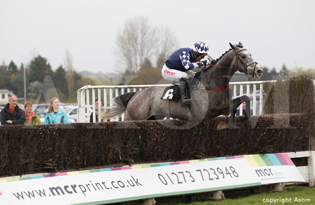 Beau Colonel at Plumpton - 8 April 2012